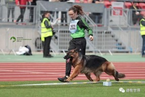 九游体育-包含Rookie官方宣布爆冷新规，德国队引发争议！赛场气氛高涨的词条